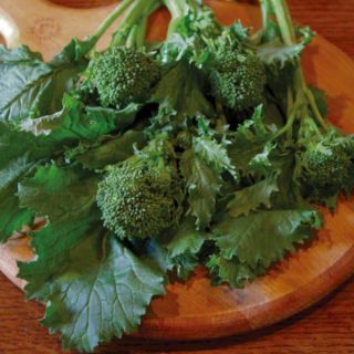 Sorrento Broccoli Raab Thumbnail